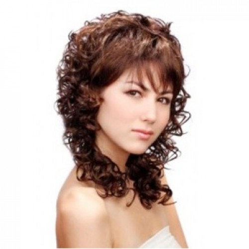Synthetic Hair Wig Curly Medium Brown